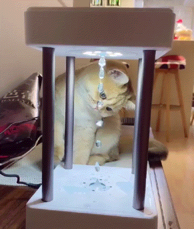 17.gif