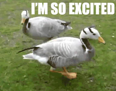 Gifdump