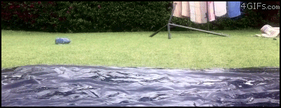 Gifdump