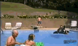 Gifdump