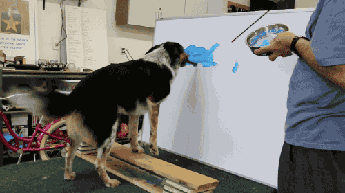 Gifdump