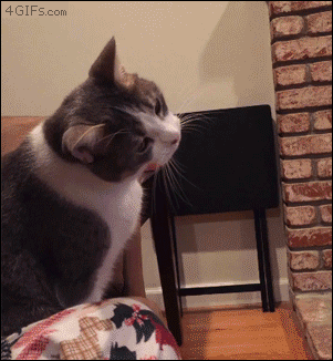 Gifdump