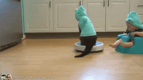 Gifdump