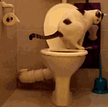Gifdump Gifdump