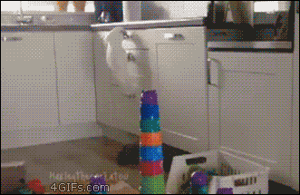 Gifdump