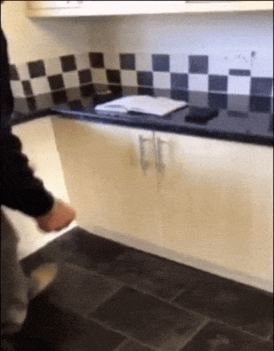 14.gif