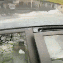 Gifdump