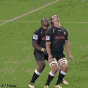 Gifdump