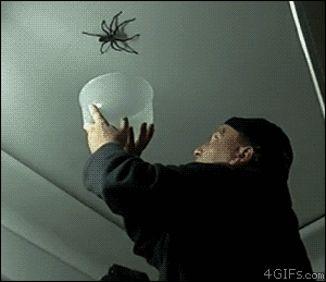 Gifdump