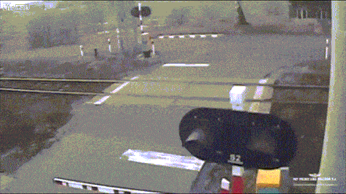 Darwin Awards-Anwärtert