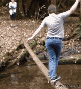 GIF Fails