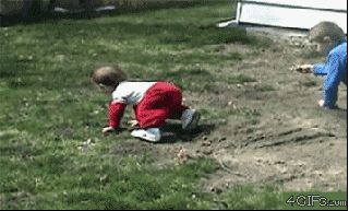 Tiere vs Kinder