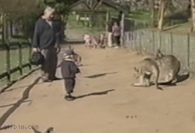 Tiere vs Kinder
