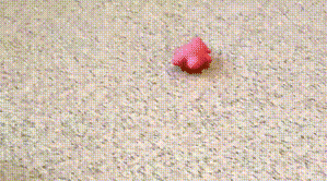 Unnötige Explosionen