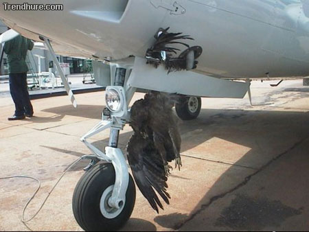 Flugzeugunfall