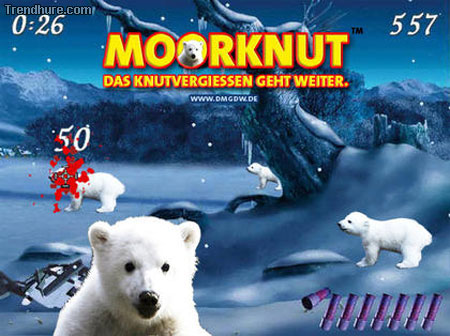 Eisbär Knut