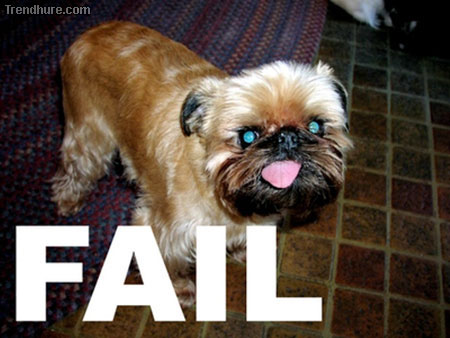 fail dog