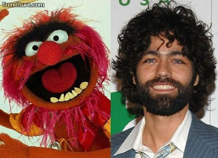 Celebrities Muppet