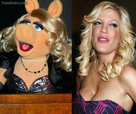 Celebrities Muppet