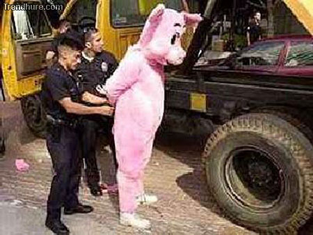Im Kostüm festgenommen