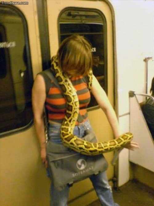 Öffentliche Verkehrsmittel