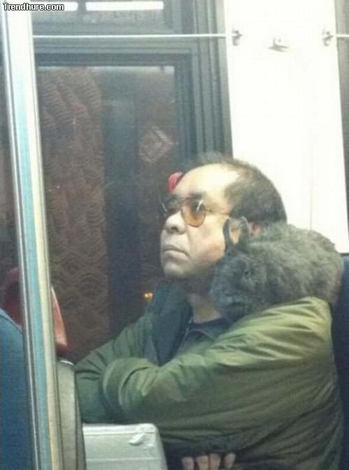 Öffentliche Verkehrsmittel