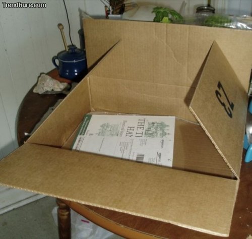 Amazon-Verpackungen