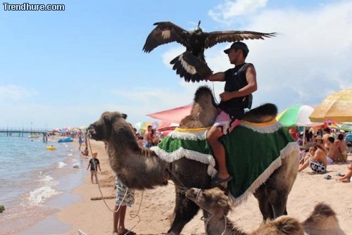 Meanwhile in Russia #3