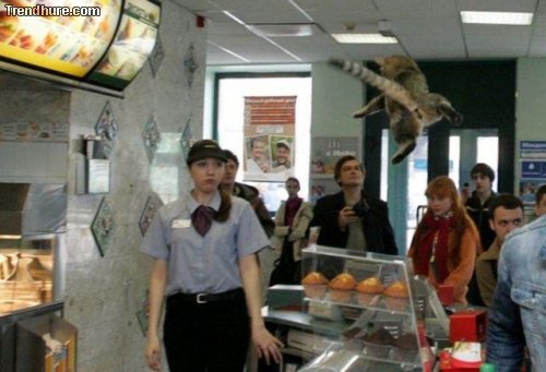 Meanwhile in Russia #3