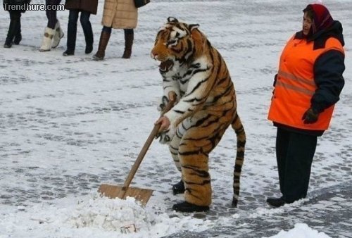 Meanwhile in Russia #3