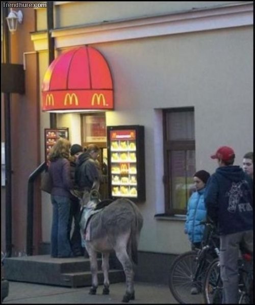 Meanwhile in Russia #3