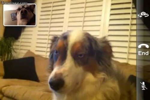 Meanwhile in Russia #3