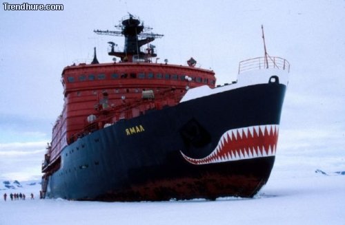 Meanwhile in Russia #3