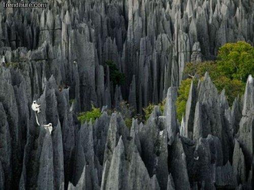 National Geographic-Fotos