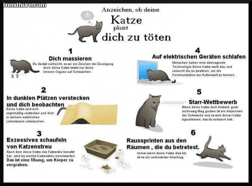 Picdump