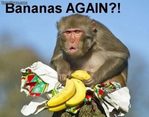Picdump
