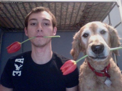 Picdump