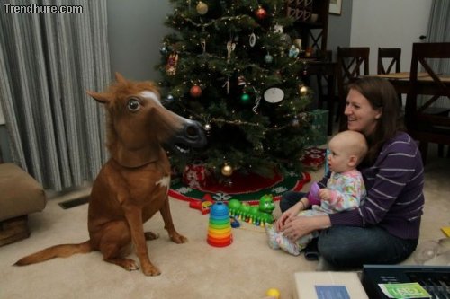 Picdump