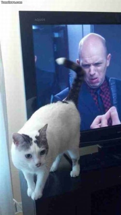 Picdump