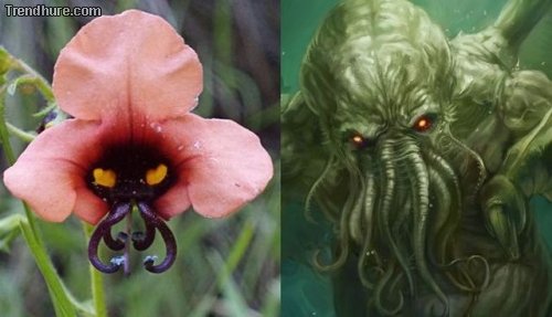 Picdump