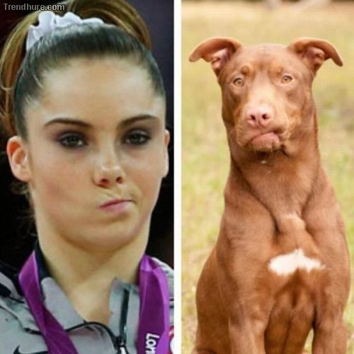 Picdump