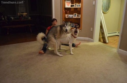 Picdump
