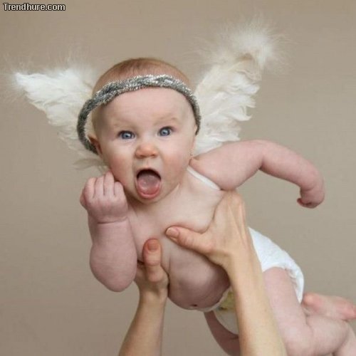 Picdump