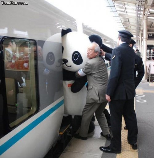 Meanwhile in Japan