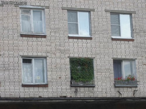 Meanwhile in Russia #10