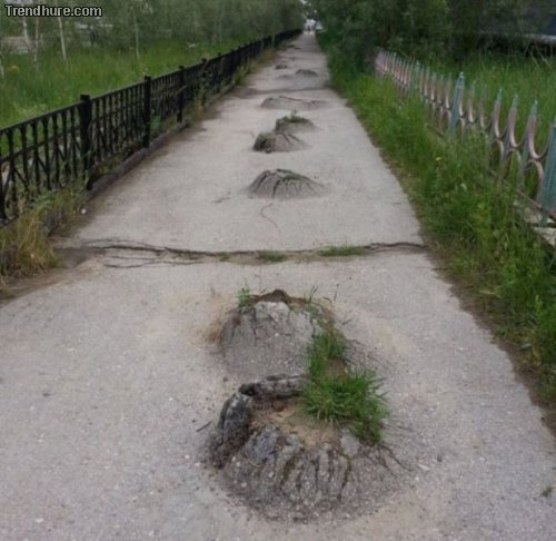 Meanwhile in Russia #12