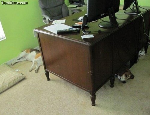 Der richtige Blickwinkel