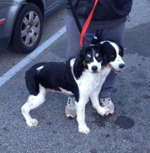 Der richtige Blickwinkel