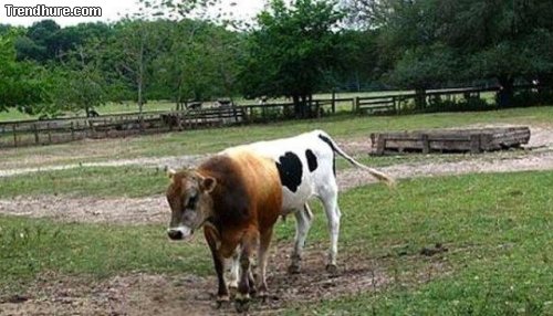 Der richtige Blickwinkel