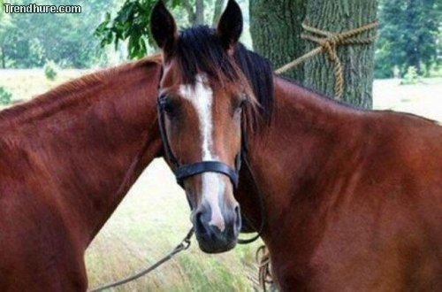 Der richtige Blickwinkel